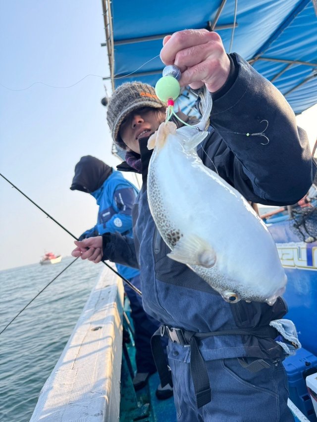 フグ(ショウサイフグ)