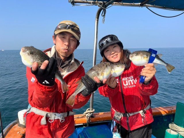 フグ(ショウサイフグ)