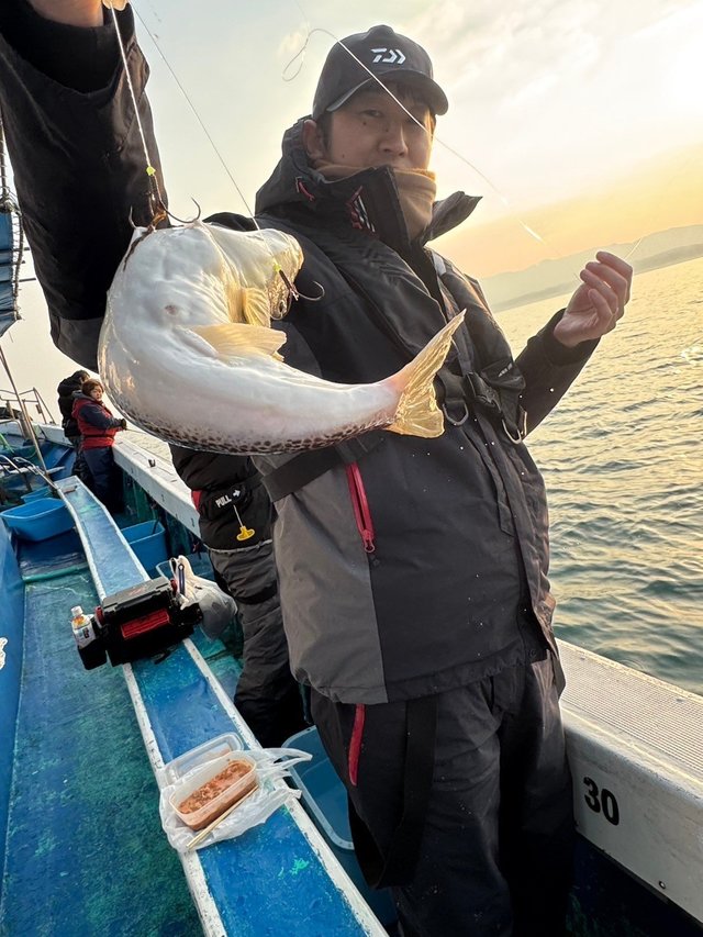 フグ(ショウサイフグ)