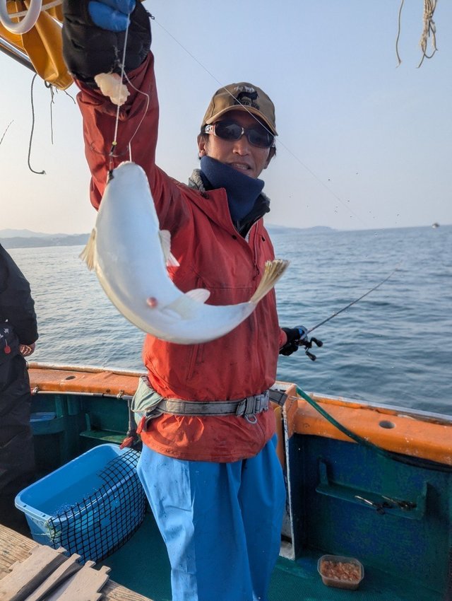 フグ(ショウサイフグ)