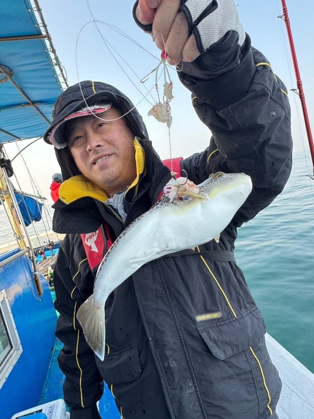 フグ(ショウサイフグ)