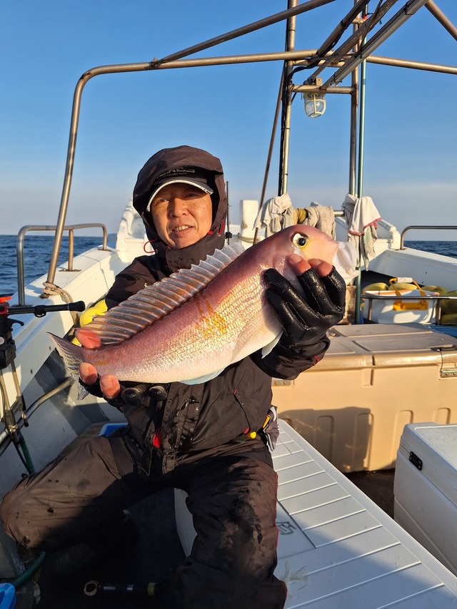 アマダイ(アカアマダイ)