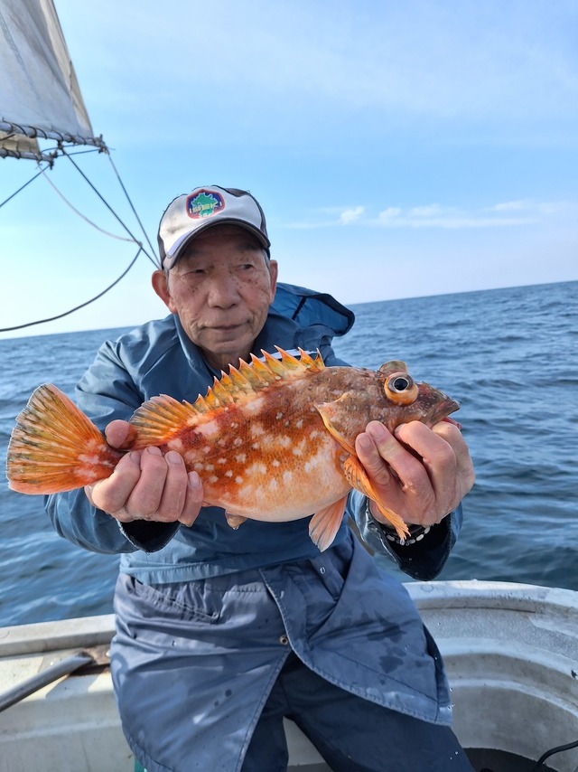 アラカブ(カサゴ)