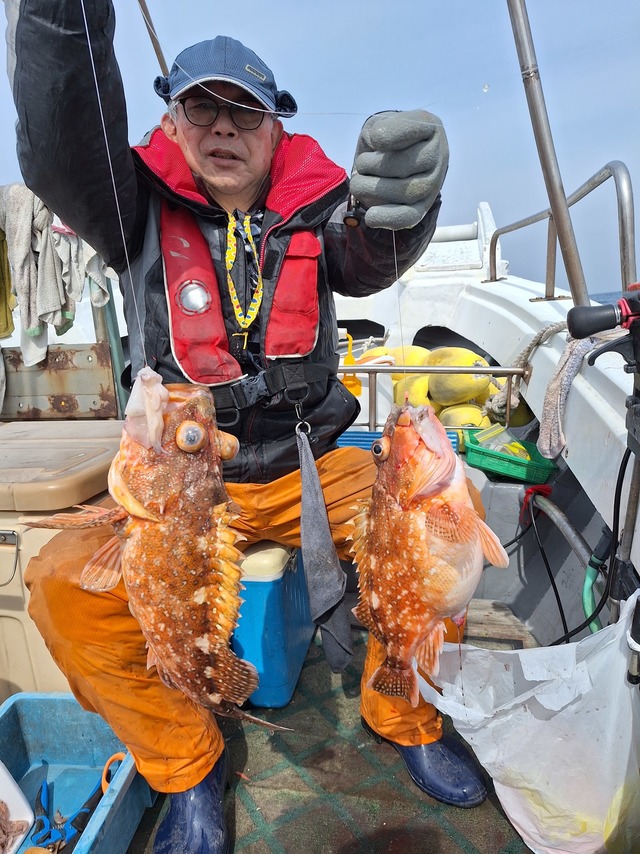 アラカブ(カサゴ)