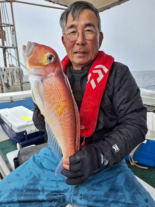 アマダイ(アカアマダイ)