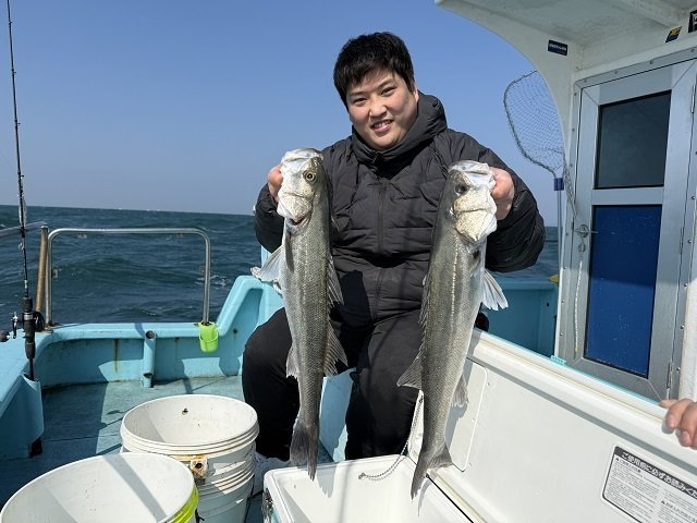 シーバス(スズキ)