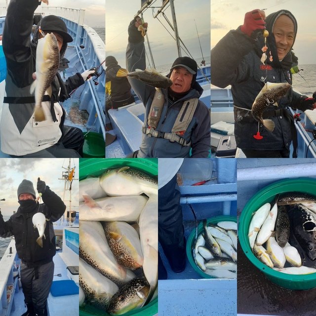 ショウサイフグ