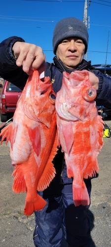 メヌケ(アコウダイ)