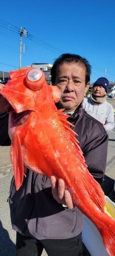 メヌケ(アコウダイ)