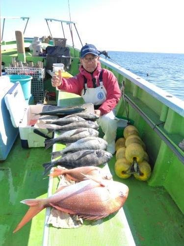 マダイ・クロダイ