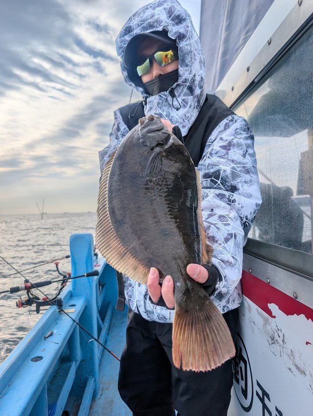 カレイ(マコガレイ)