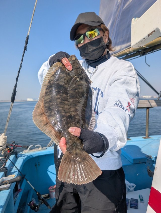 カレイ(マコガレイ)