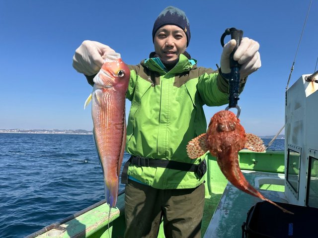 アマダイ(アカアマダイ)