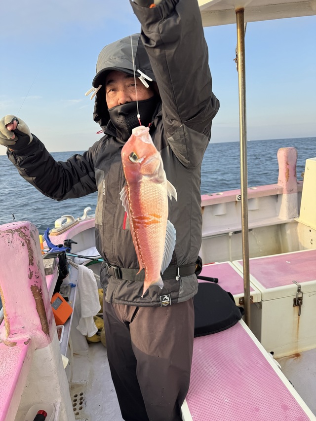 アマダイ(アカアマダイ)