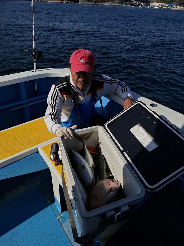 マダイ・イナダ(ブリ)