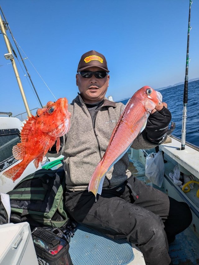 アマダイ(アカアマダイ)