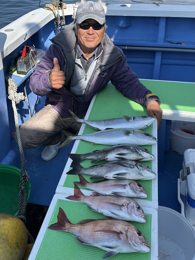 マダイ・クロダイ・イナダ(ブリ)