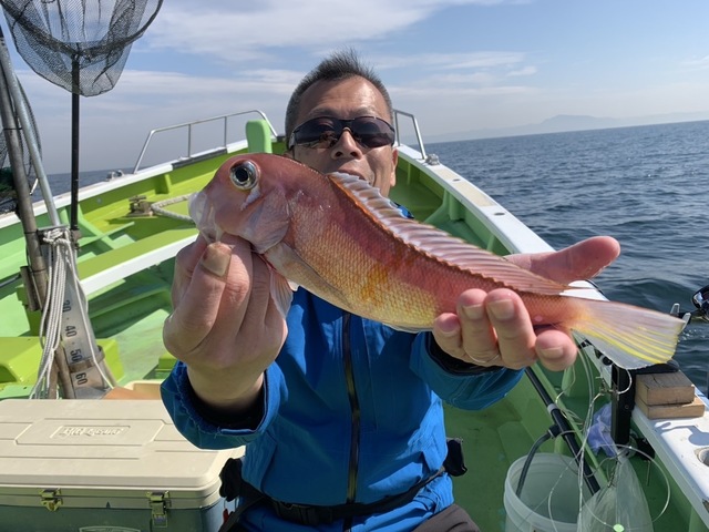 アマダイ(アカアマダイ)