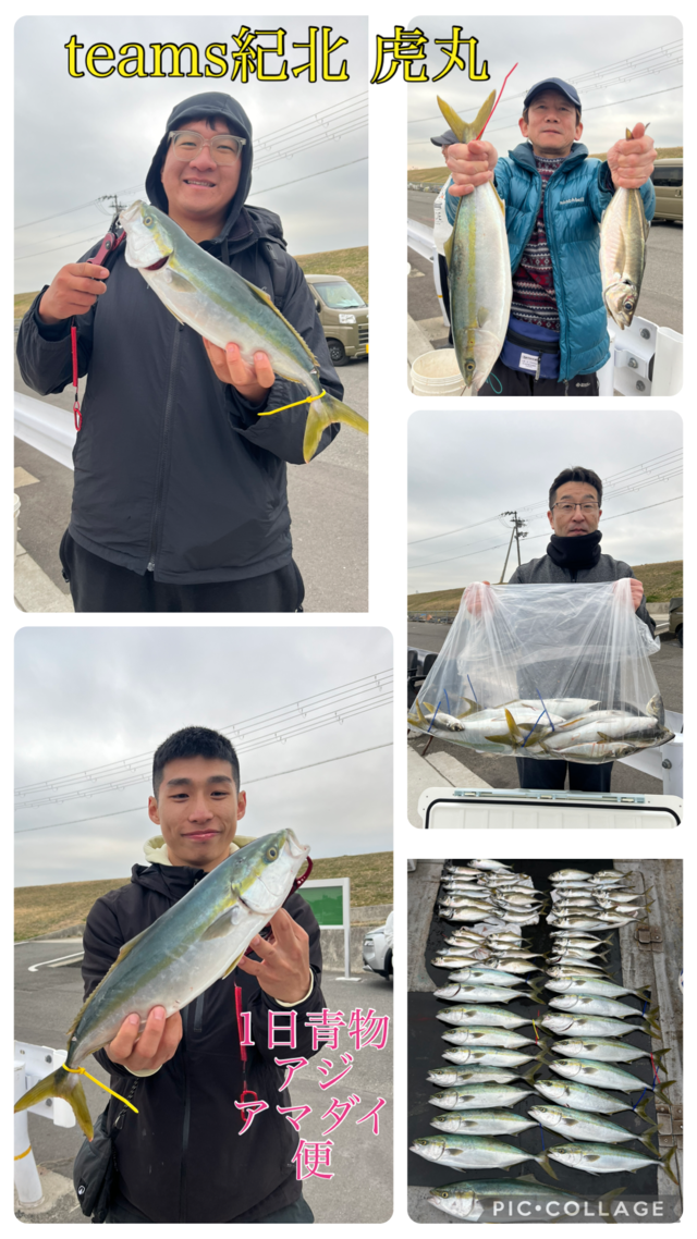 アジ(マアジ)・ハマチ(ブリ)・メジロ(ブリ)・サバ(マサバ)