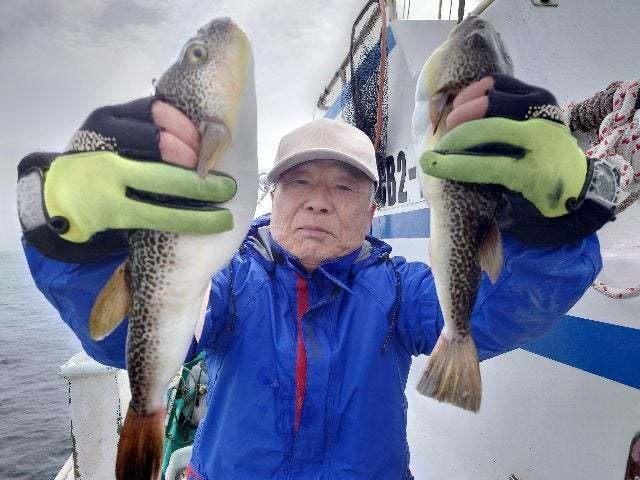 ショウサイフグ