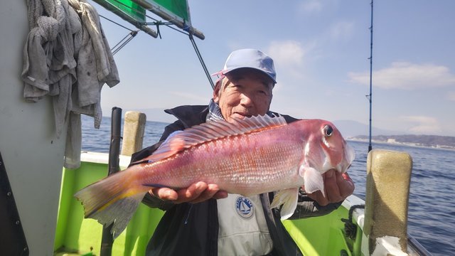 アマダイ(アカアマダイ)