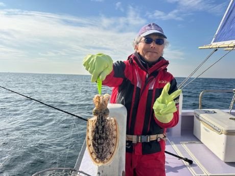 スミイカ(コウイカ)