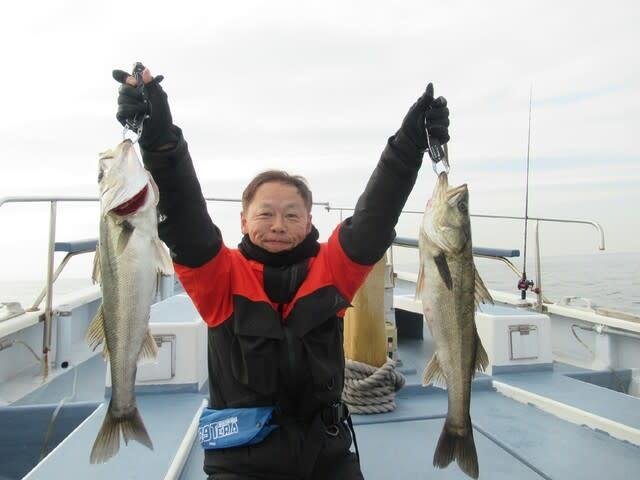 シーバス(スズキ)