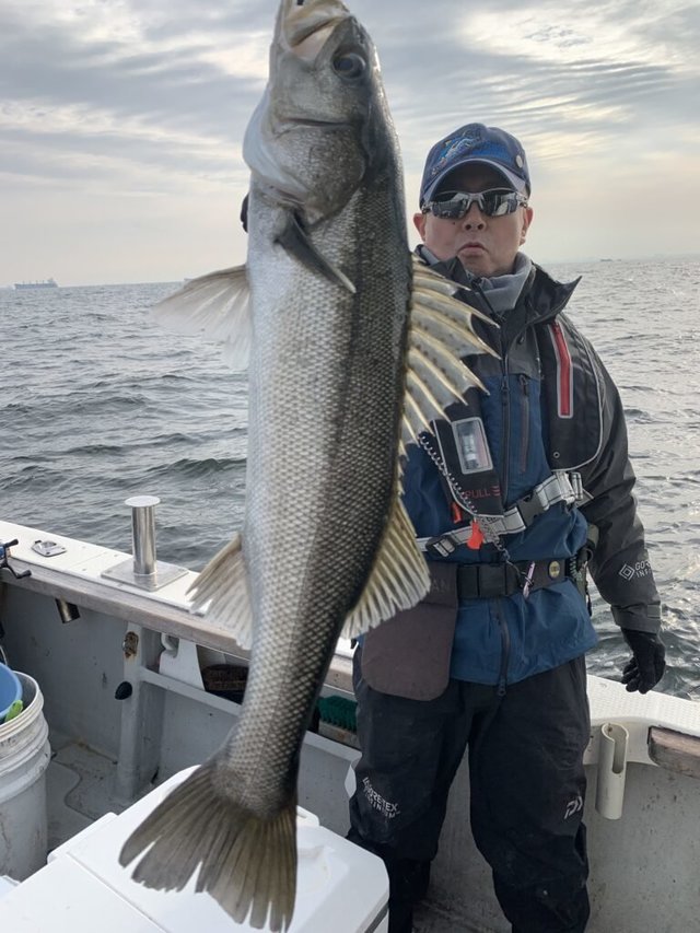 シーバス(スズキ)