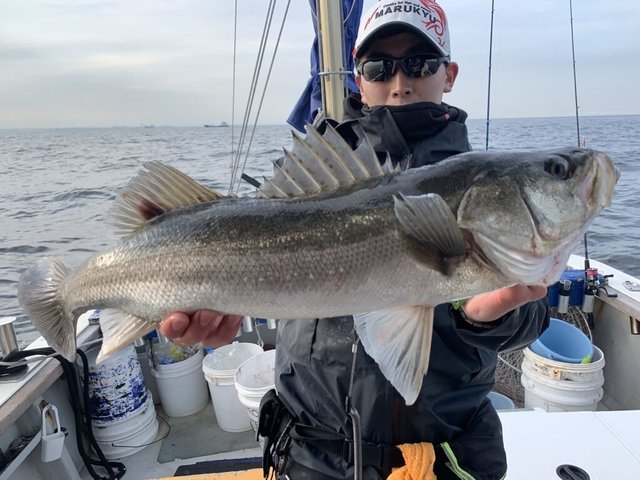 シーバス(スズキ)