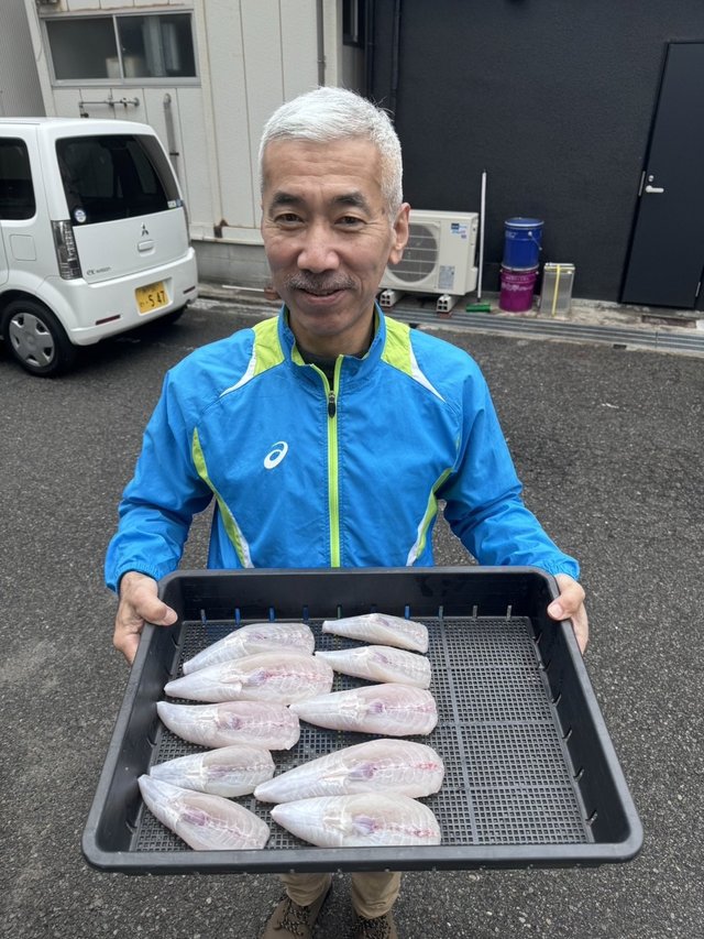 フグ(ショウサイフグ)