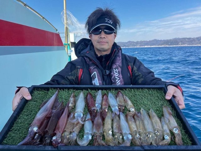 マルイカ(ケンサキイカ)