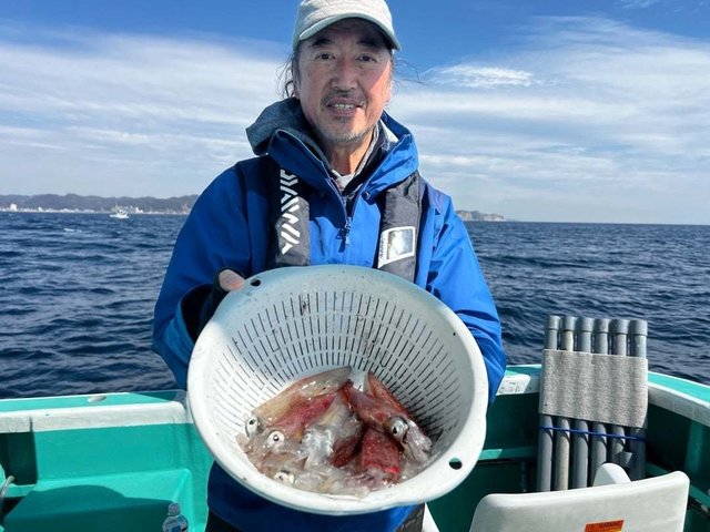 マルイカ(ケンサキイカ)