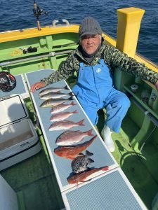 マダイ・ハナダイ(チダイ)・クロダイ・メジナ・カンパチ・イサキ