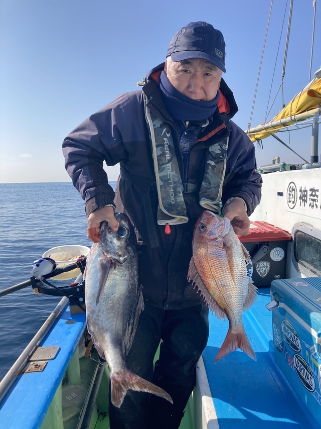 マダイ・メダイ