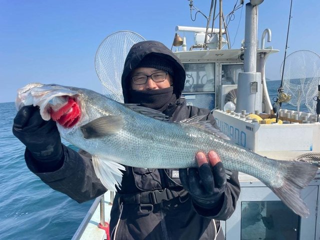 シーバス(スズキ)