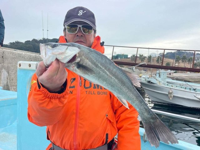 シーバス(スズキ)