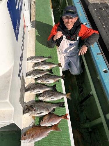 マダイ・クロダイ