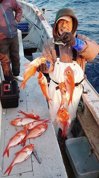 キンメ(キンメダイ)