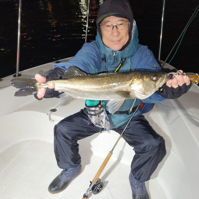 シーバス(スズキ)