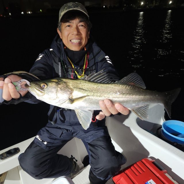 シーバス(スズキ)