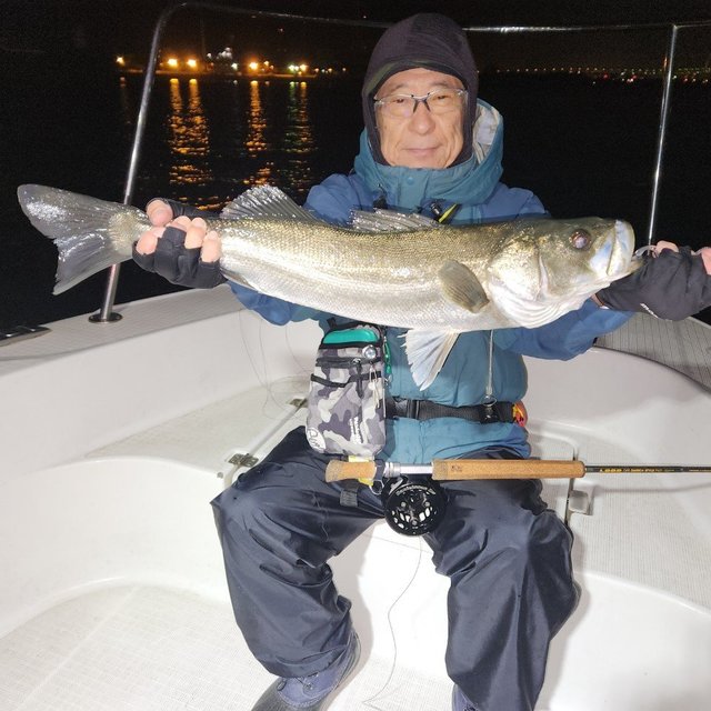 シーバス(スズキ)