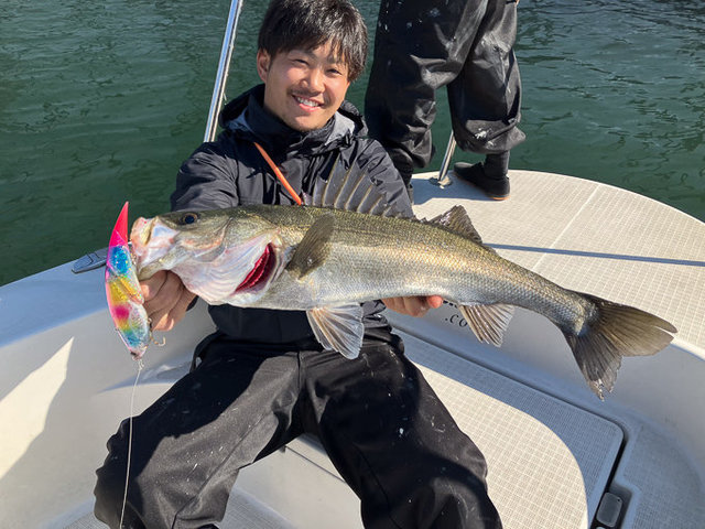 シーバス(スズキ)