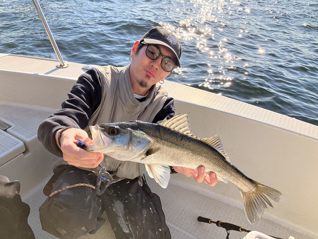 シーバス(スズキ)