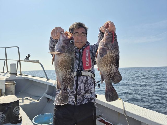 マゾイ(キツネメバル)