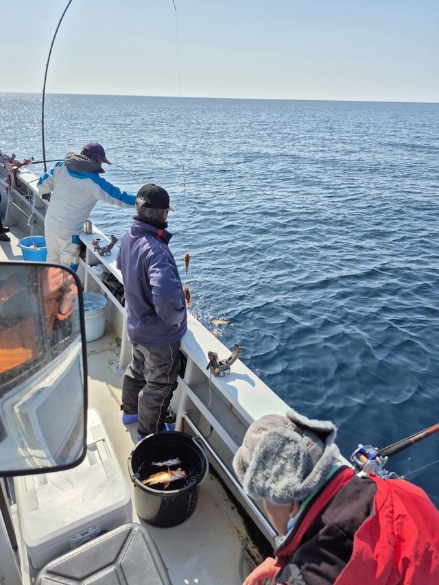 オキメバル(ウスメバル)