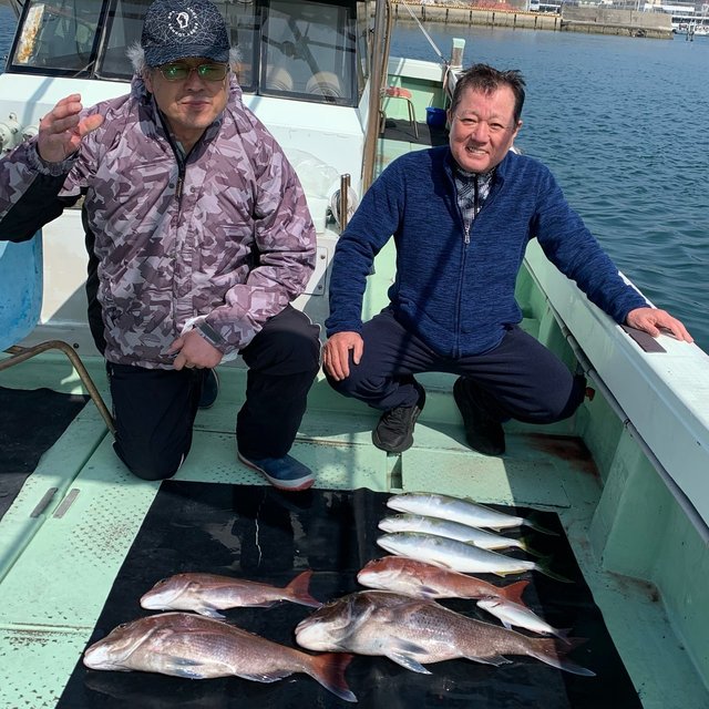 マダイ・ハマチ(ブリ)