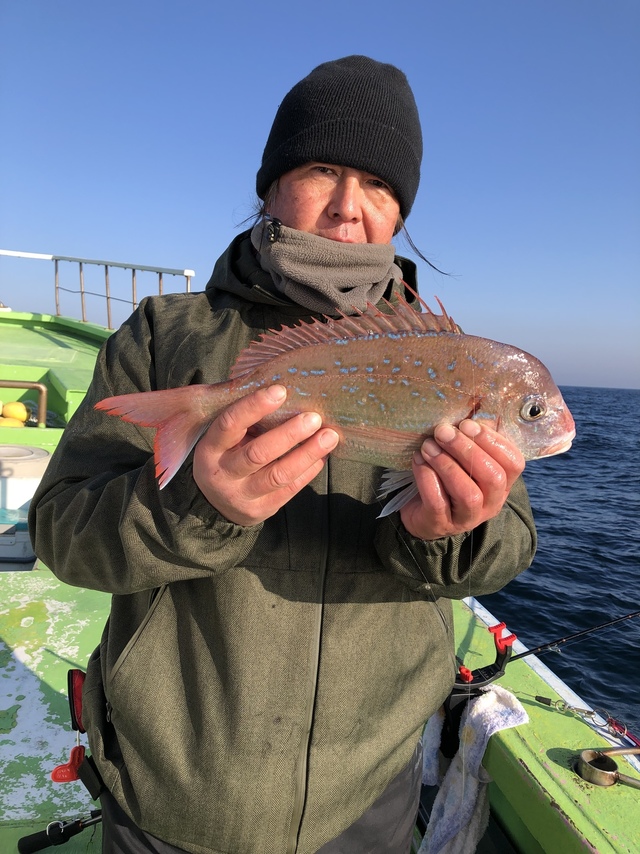 ハナダイ(チダイ)