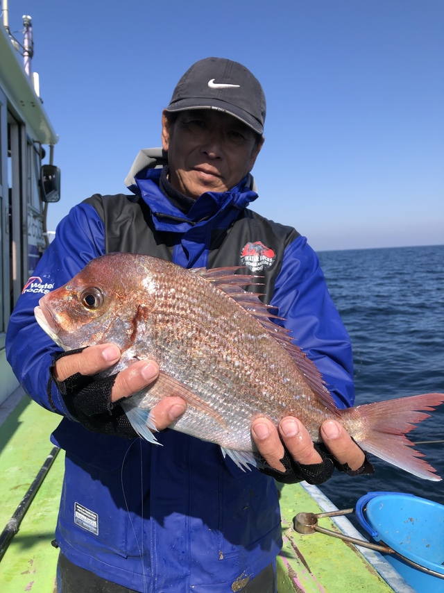 ハナダイ(チダイ)