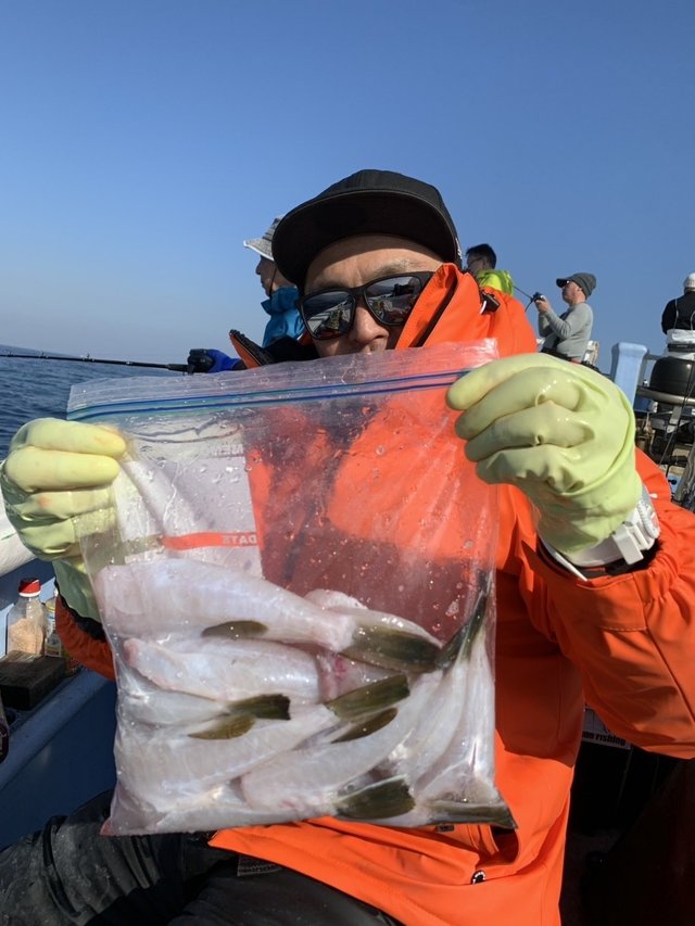 ショウサイフグ