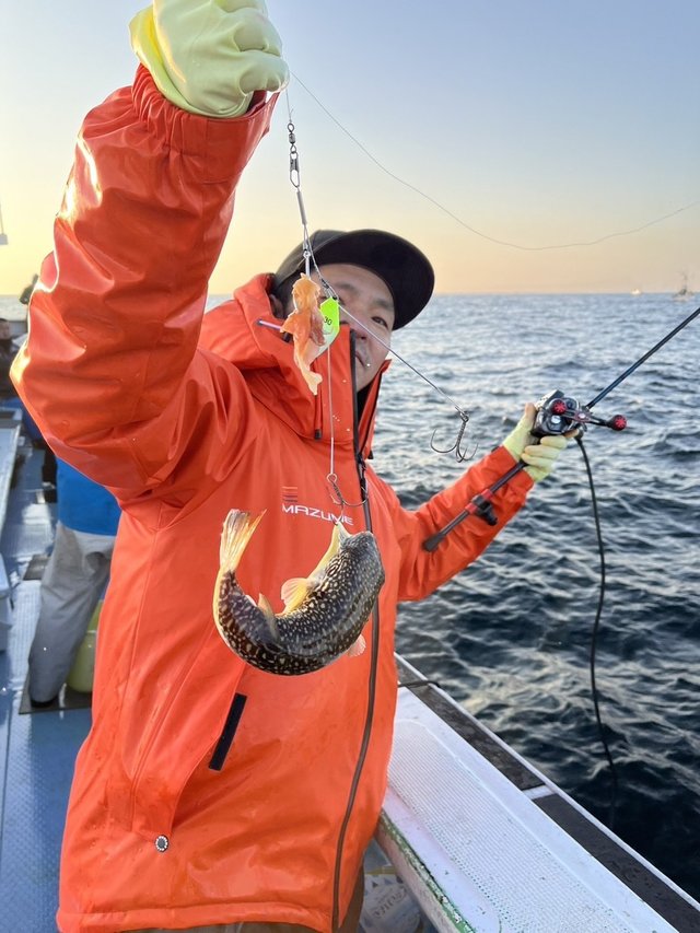 ショウサイフグ